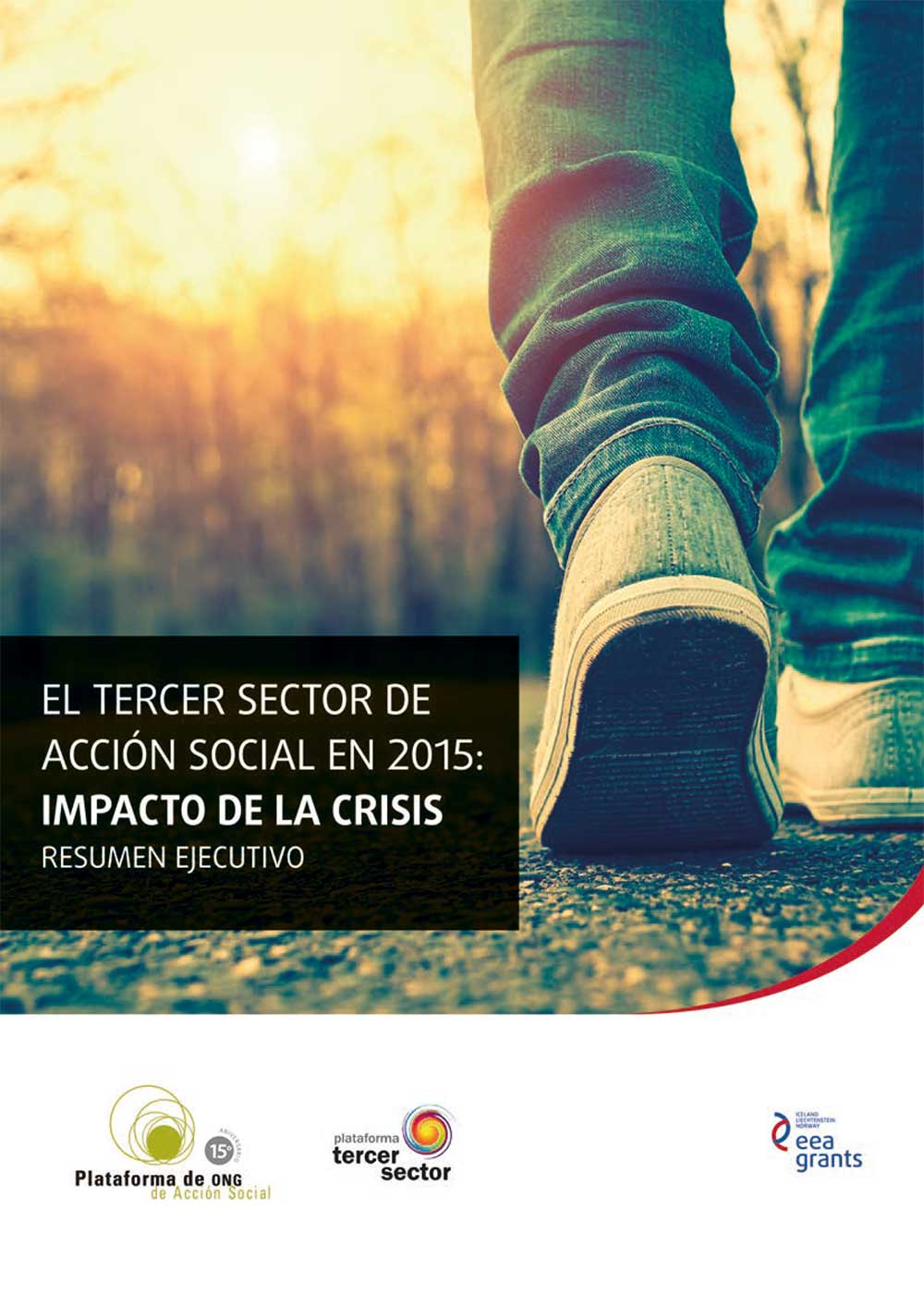 Study of the Third Sector of Social Action