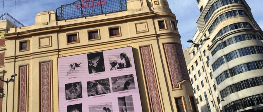 Fotografía: La obra se exhibió en la madrileña Plaza de Callao, en la semana del voluntariado.